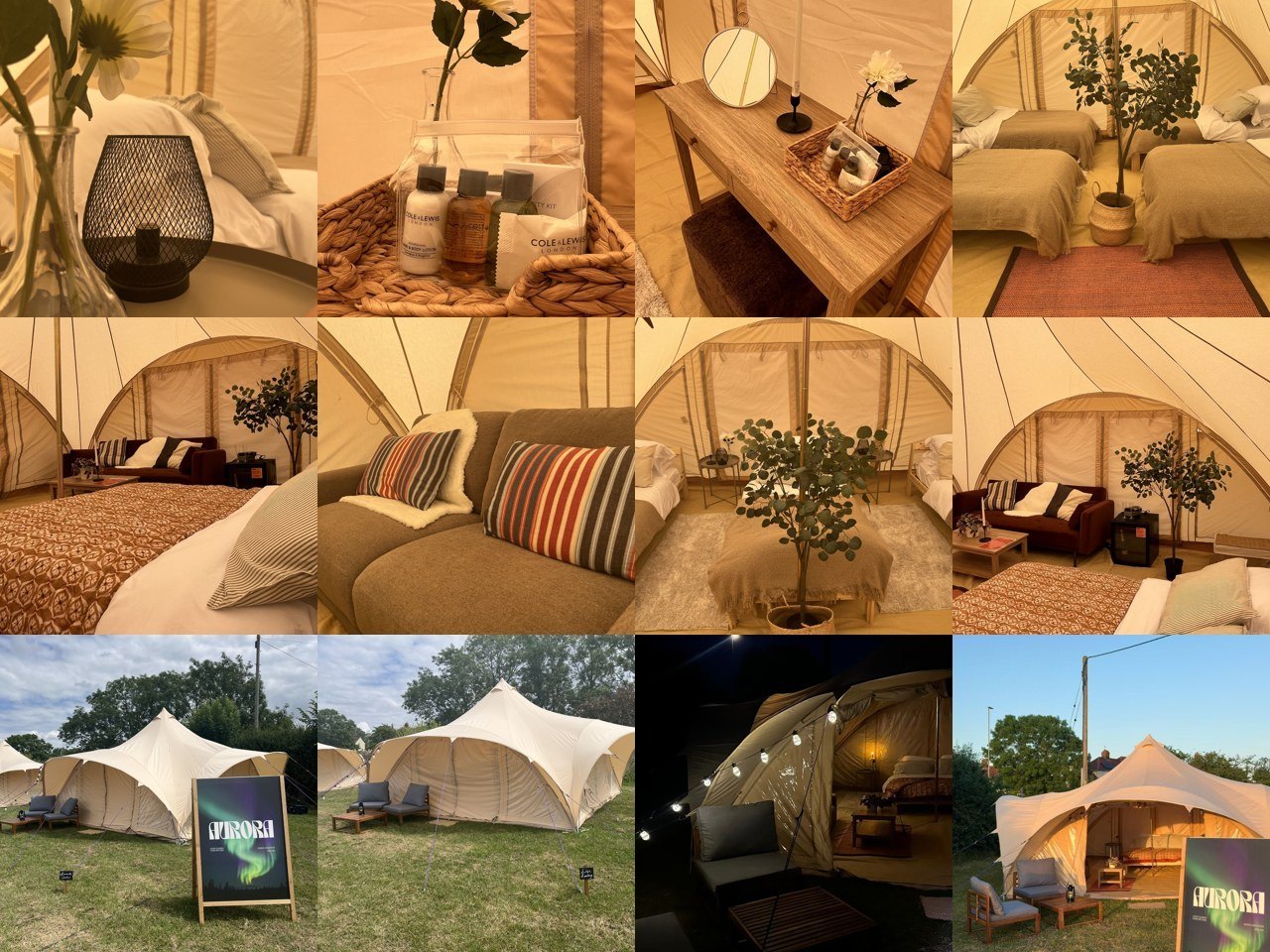 The twelve source photographs, laid out in a grid