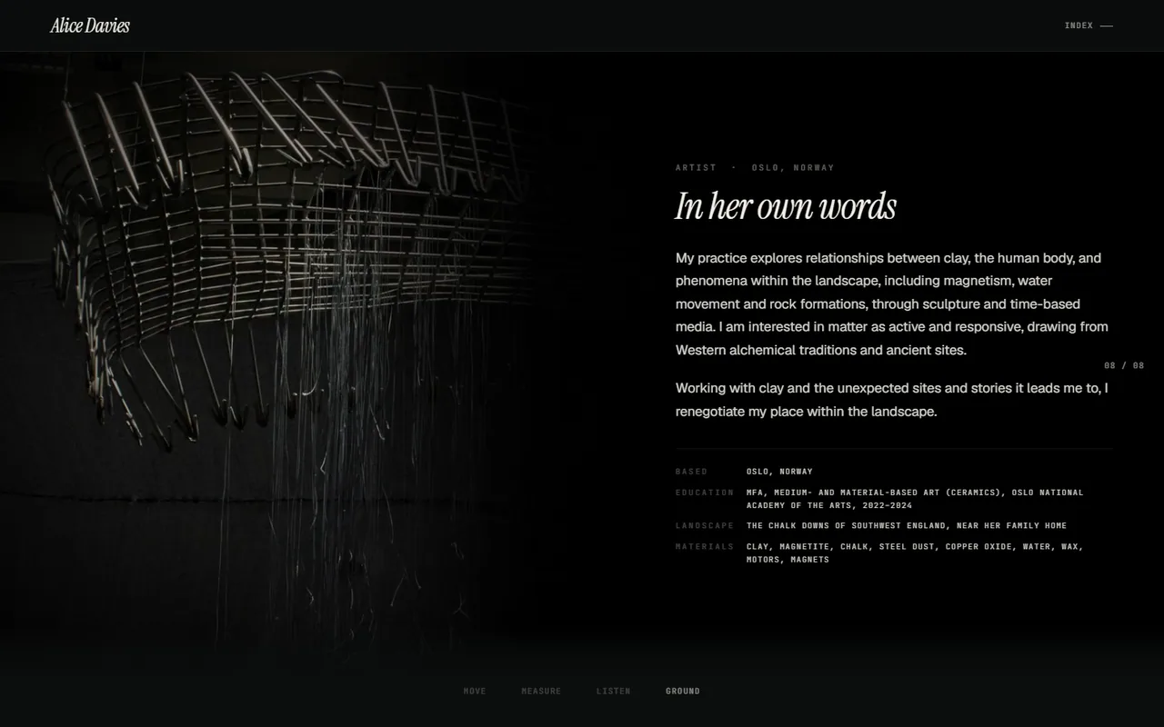Her artist statement set in a column on the right of the screen, over a vignetted photograph of a woven canopy seen from below