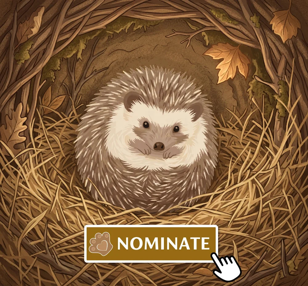 The nest scene with the campaign call to action added: a gold Nominate button with the paw mark and a cursor hovering over it