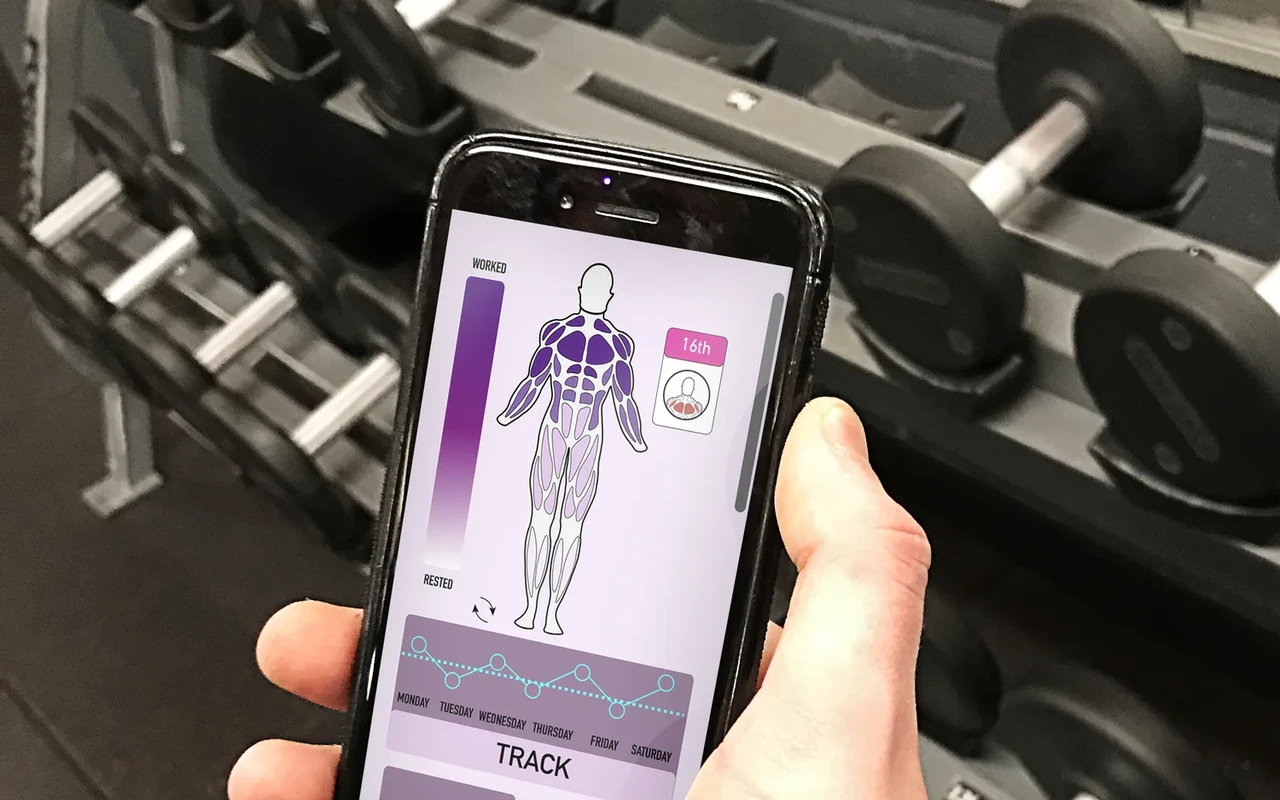 241 health app heart mode