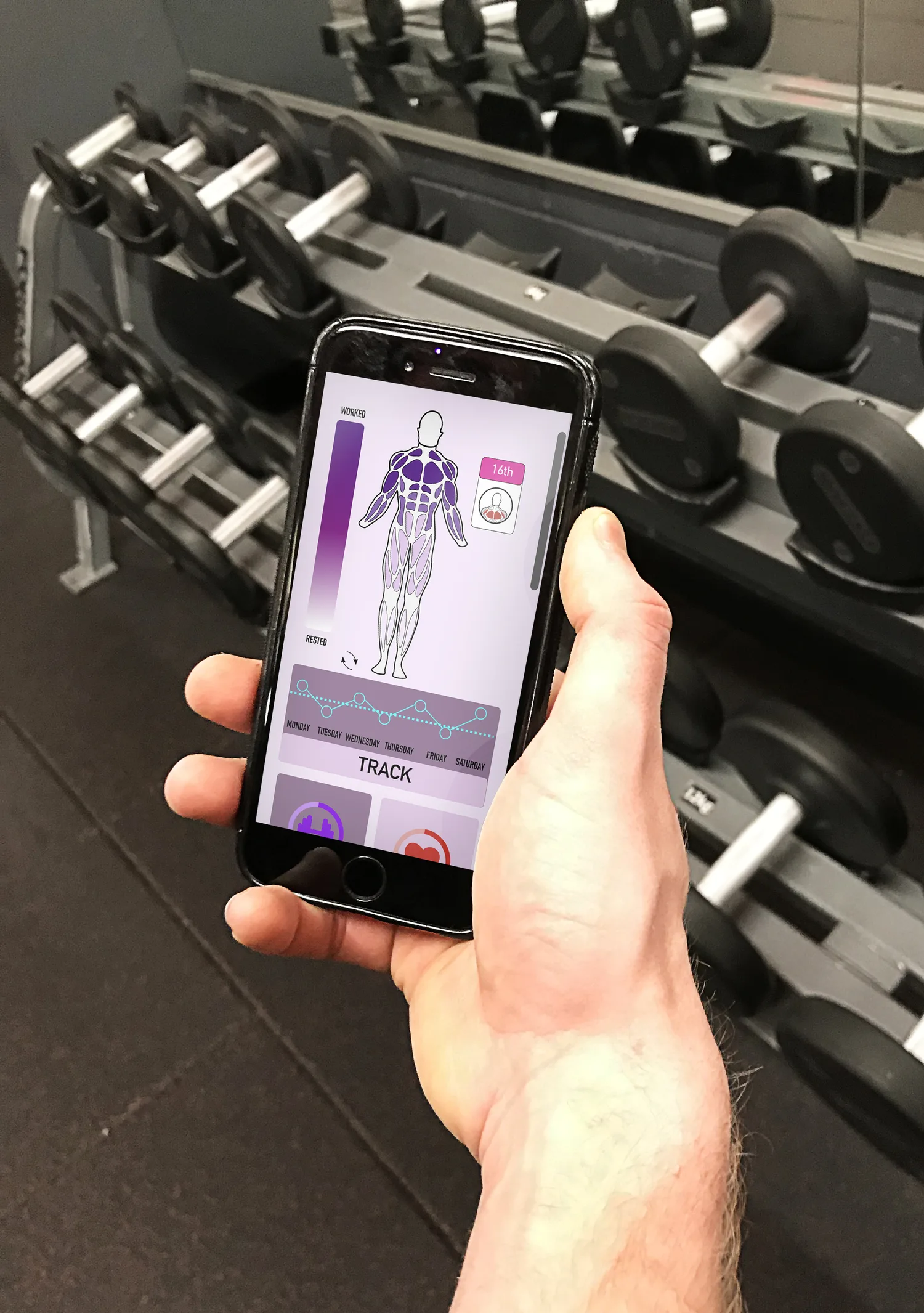 Composited photograph of the app in use in a gym, held in front of a rack of free weights