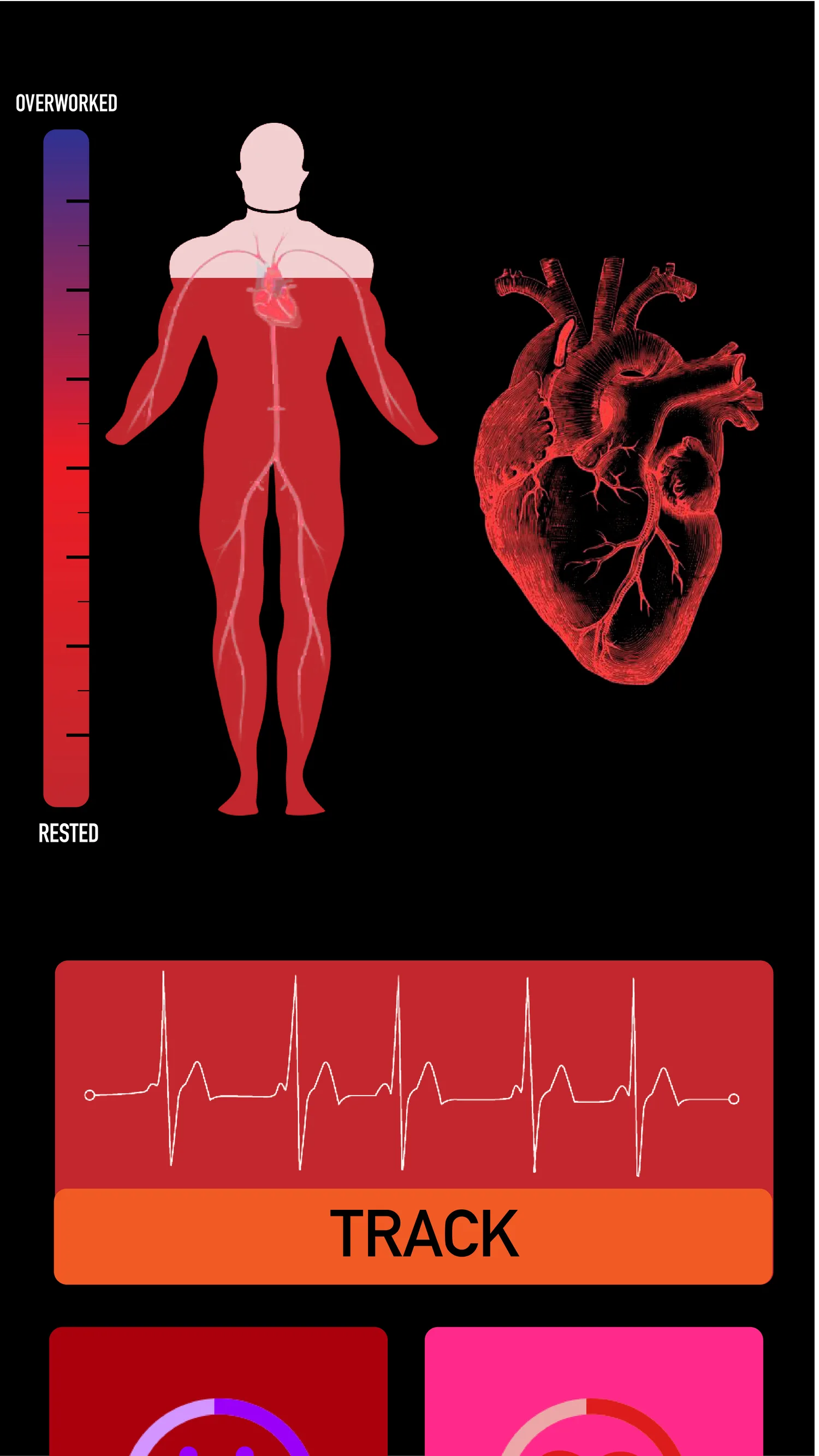 Measurement mode: body model with sliding scales for age and waist, and a BMI dial