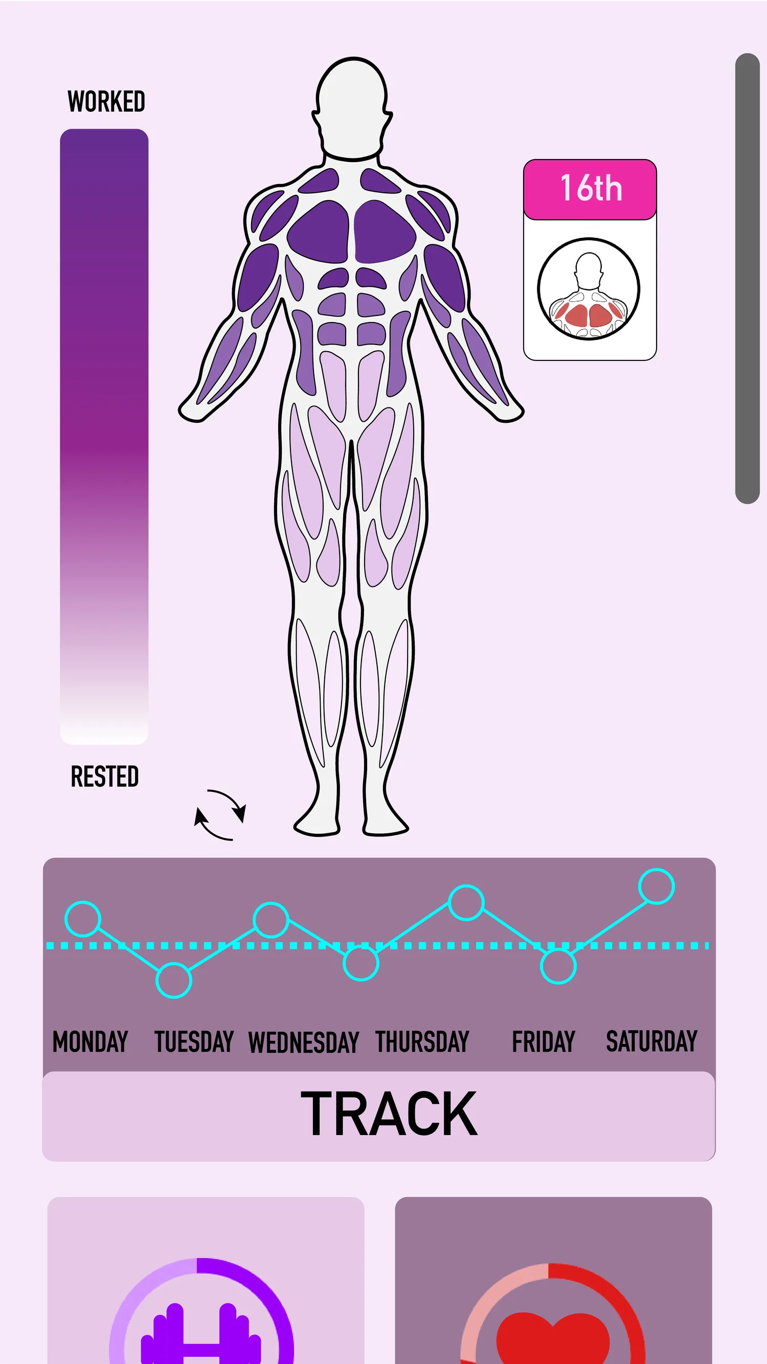 Workout mode: rotatable anatomical muscle model shaded by how recently each muscle was worked