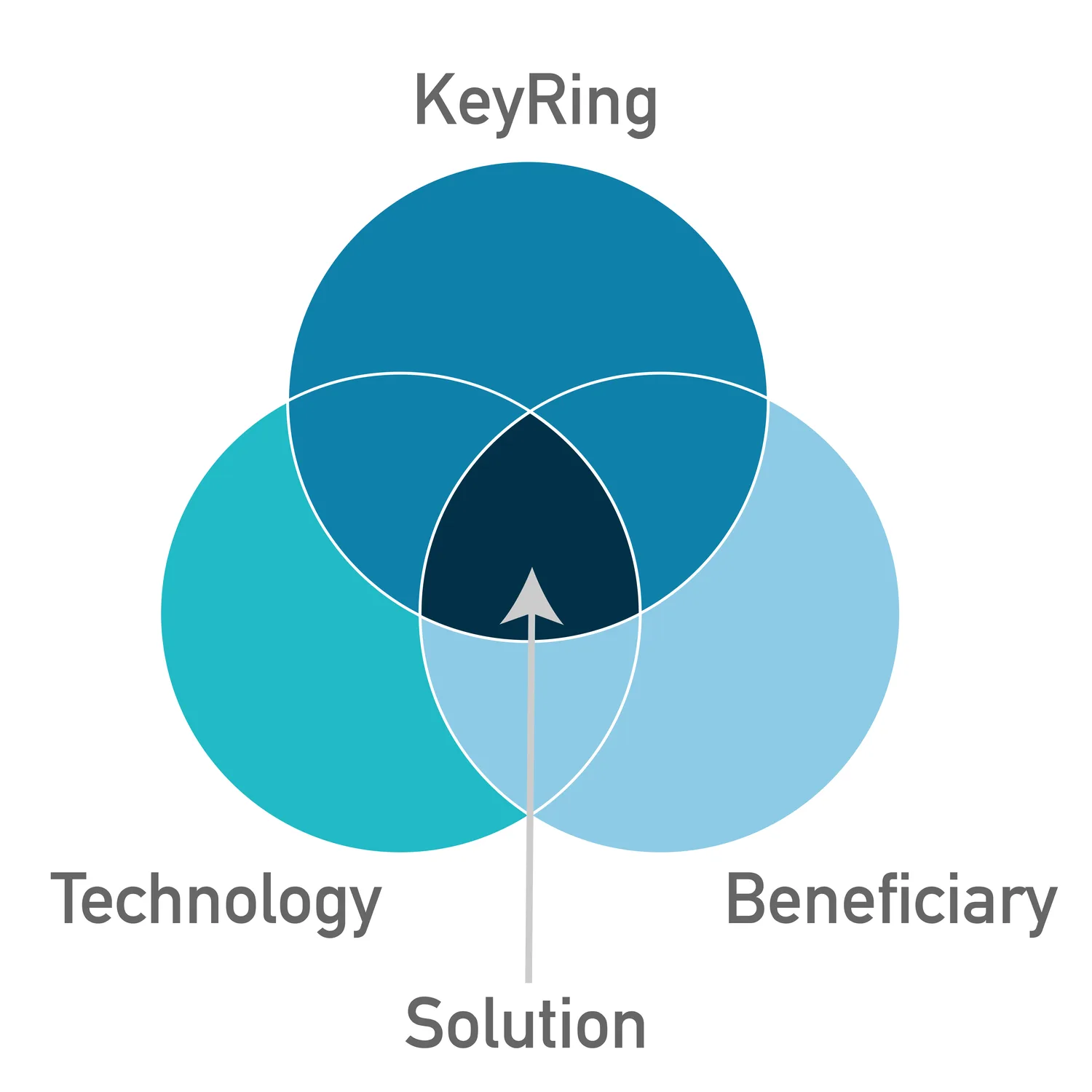 Venn diagram positioning the solution at the intersection of KeyRing, technology and beneficiary