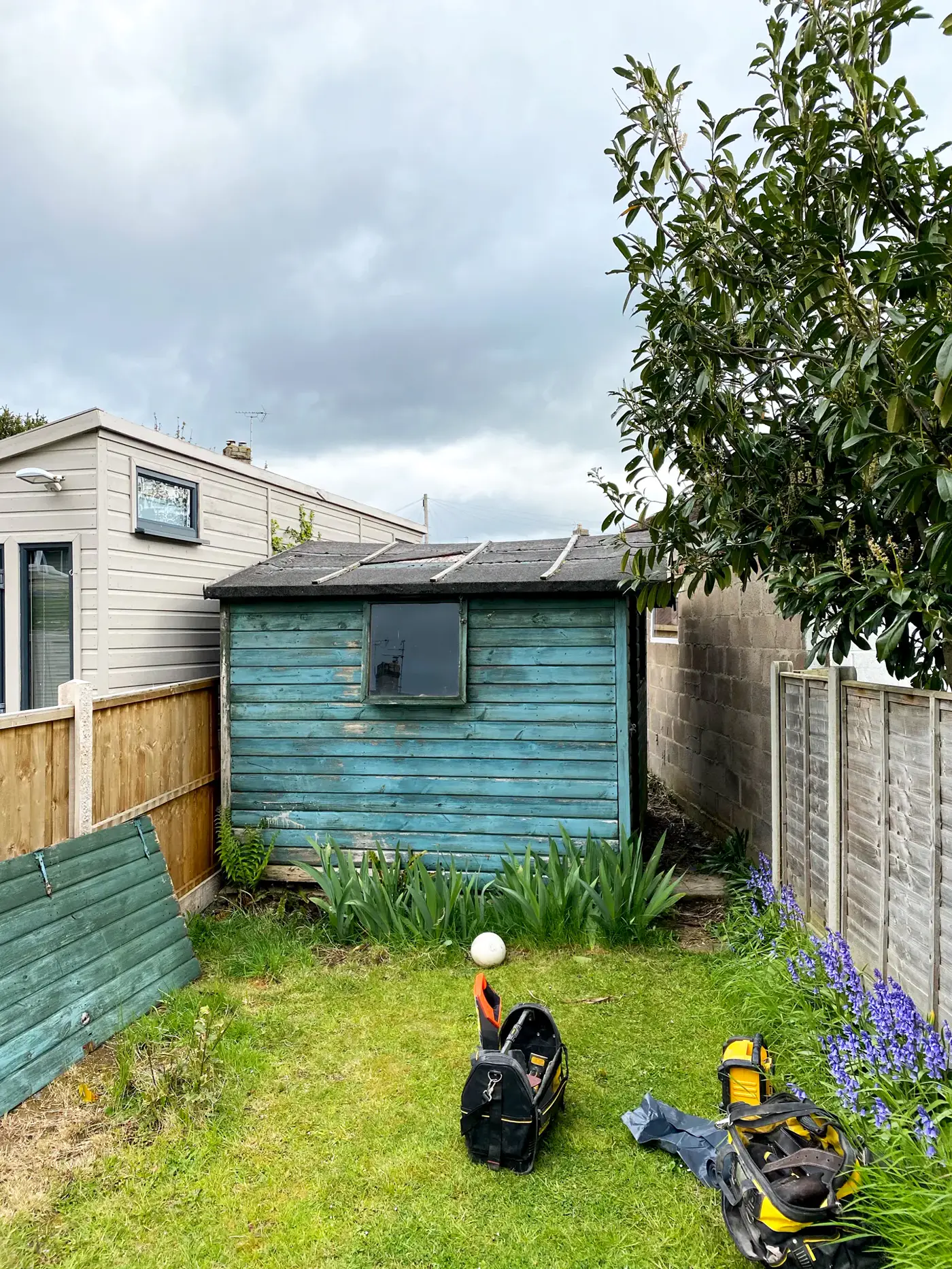 Untouched back garden with an old shed and overgrown lawn before work begins
