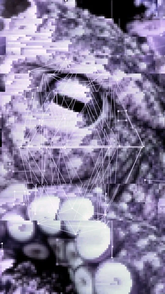 Round two, number ten: an octopus eye with shards and pixel sort