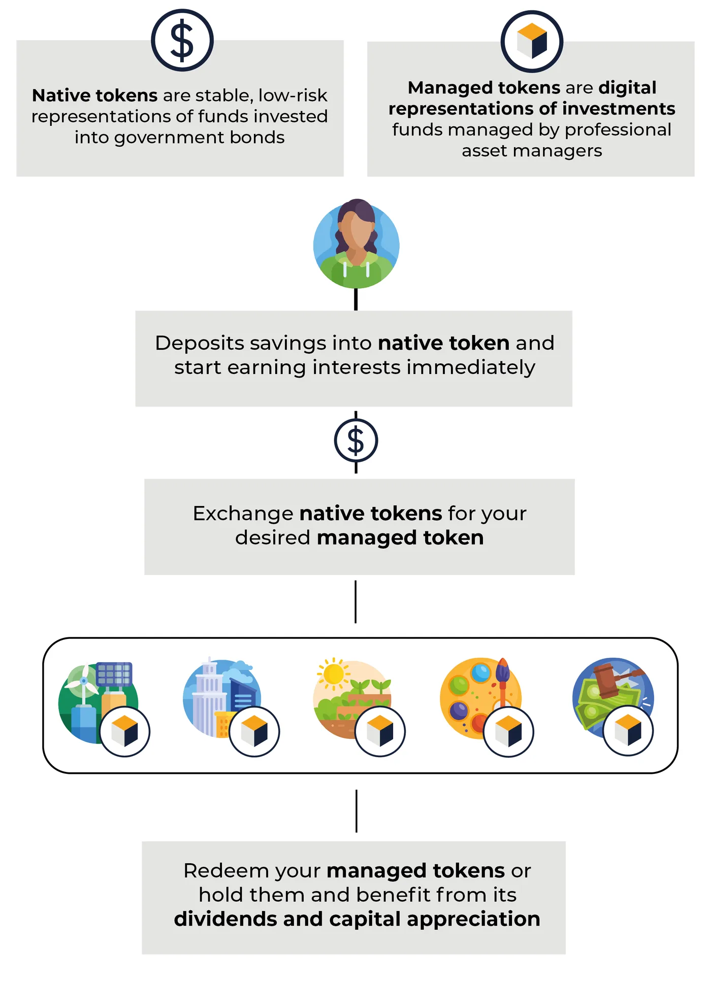 Infographic: tokenisation can ease access to a variety of asset classes - infrastructure, real estate, farmland, art, private debt and equity